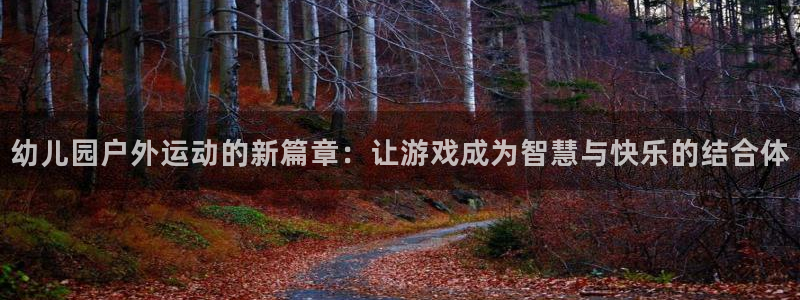 fb体育招商电话号码查询：幼儿园户外运动的新篇章：让游戏成为