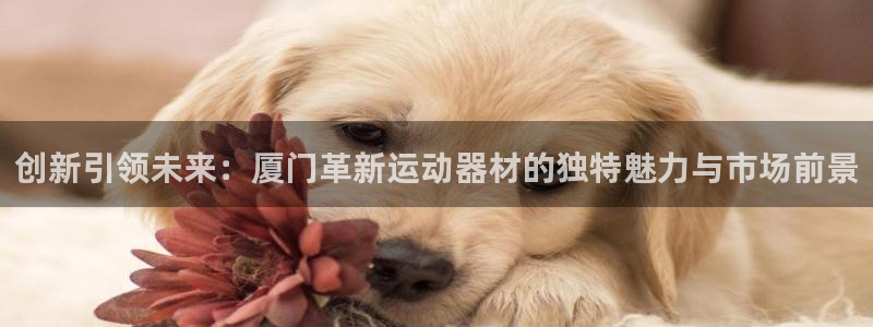 注册fb体育：创新引领未来：厦门革新运动器材的独特魅力与市场