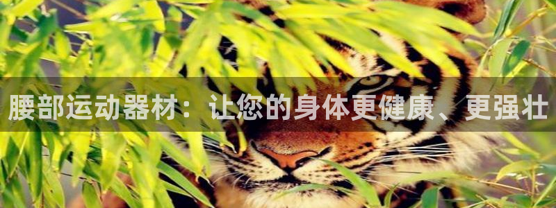 海南fb体育发展怎么样：腰部运动器材：让您的身体更健