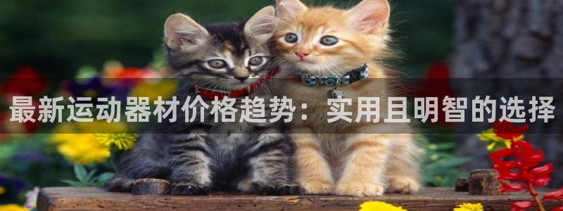 fb体育神州：最新运动器材价格趋势：实用且明智的选择