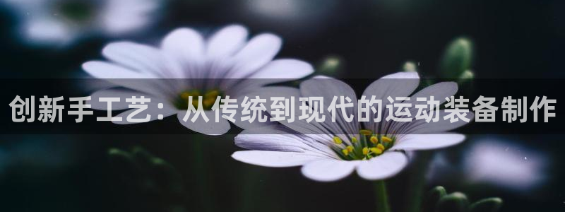 fb体育娱乐下载：创新手工艺：从传统到现代的运动装备制作
