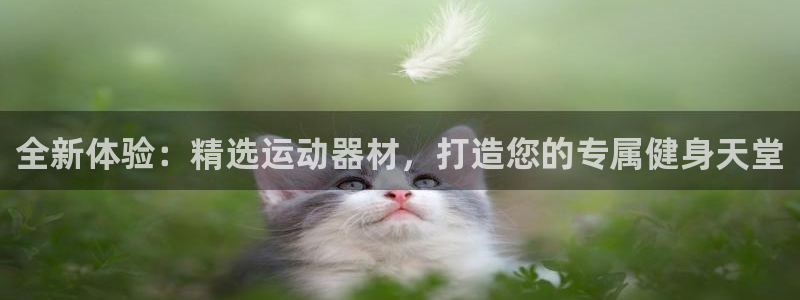 fb平台体育：全新体验：精选运动器材，打造您的专属健身天堂