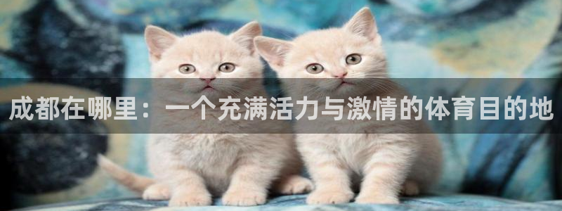 fb体育集团简介