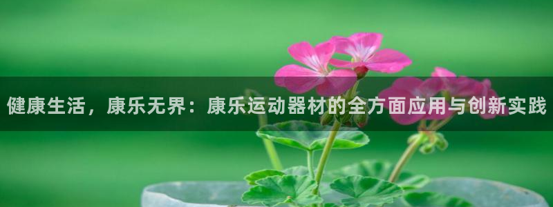 海南fb体育：健康生活，康乐无界：康乐运动器材的全方面应用与