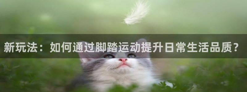 fb体育平台注册流程图：新玩法：如何通过脚踏运动提升日常生活
