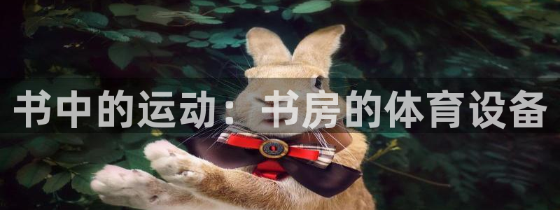 fb体育官方：书中的运动：书房的体育设备