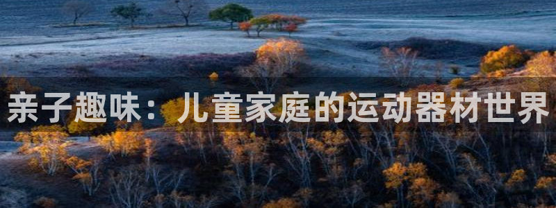 fb集团官网：亲子趣味：儿童家庭的运动器材世界