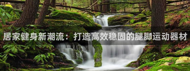 fb集团官网：居家健身新潮流：打造高效稳固的腿脚运动