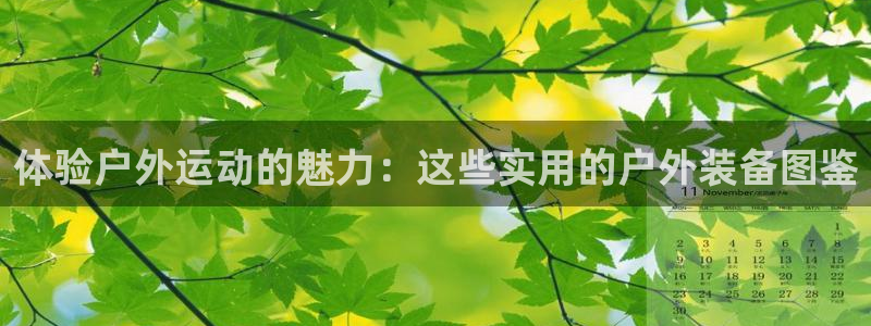 fb体育娱乐：体验户外运动的魅力：这些实用的户外装备