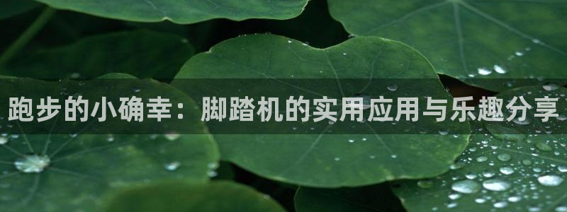 海南fb体育发展怎么样