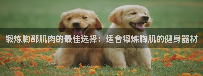 fb体育招商电话地址是多少